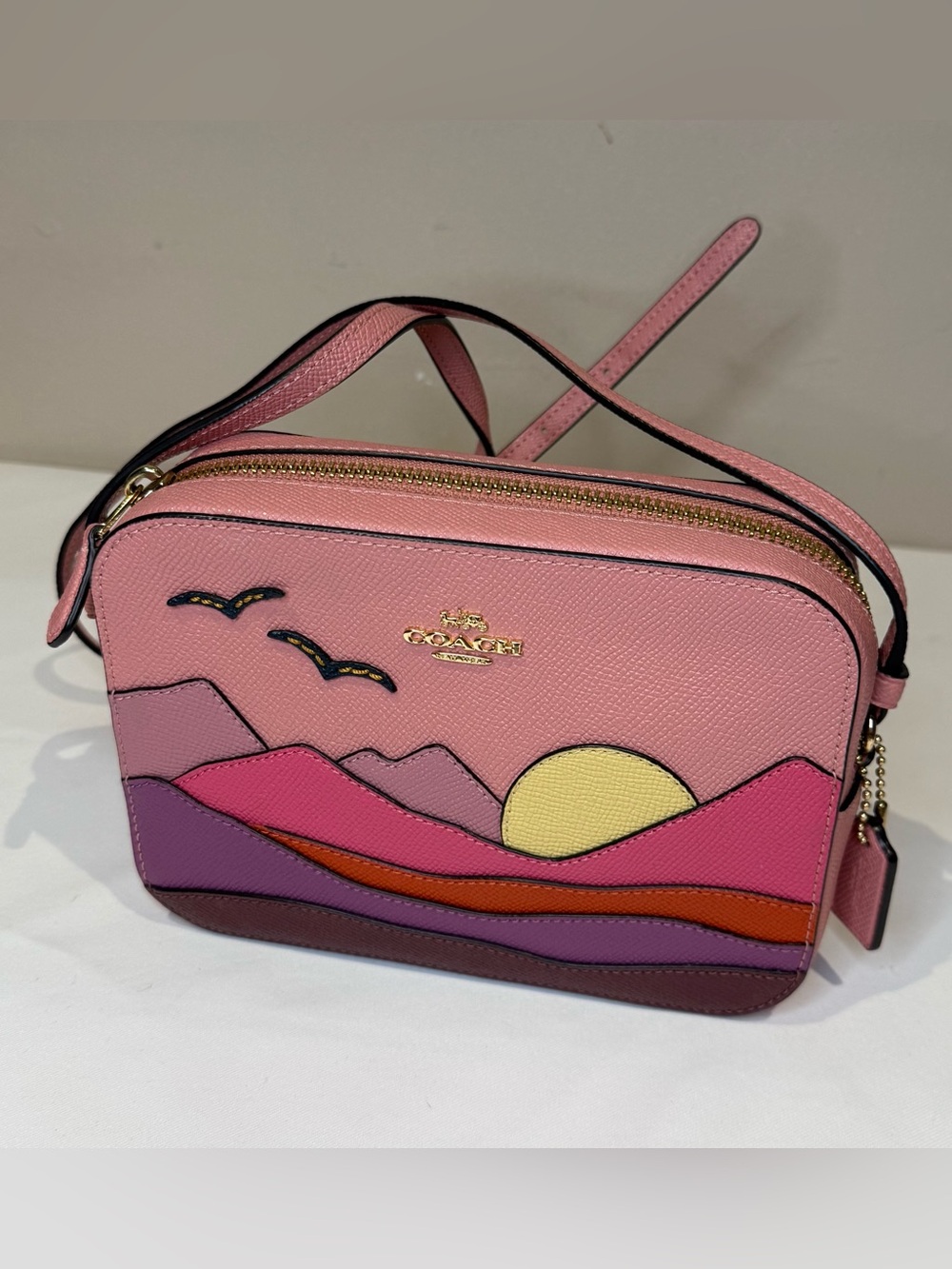 Coach Mini Camera Bag with Post Card Mountain Motif C4561